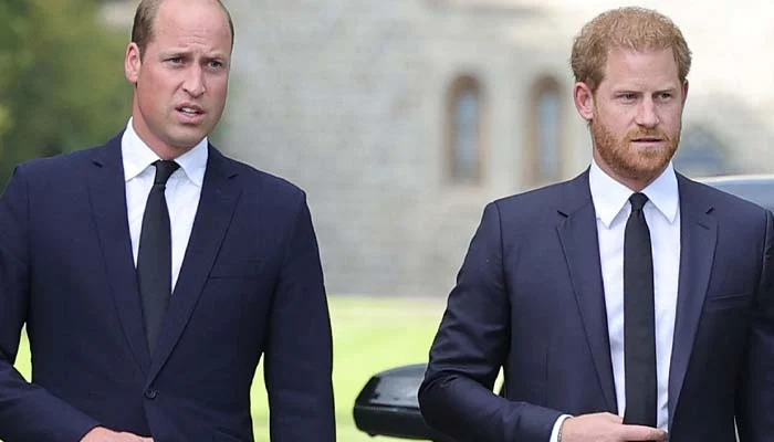 Prince Harry to go down a path Prince William firmly close 10 years ago: ‘It’ll antagonize!’