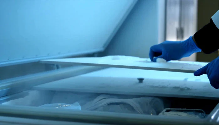 Japan arrests woman for keeping daughter’s body in freezer for 20 years