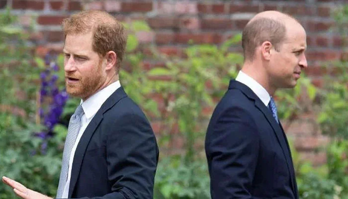 Prince Harry’s UK trip seen as attempt to unsettle Prince William’s role