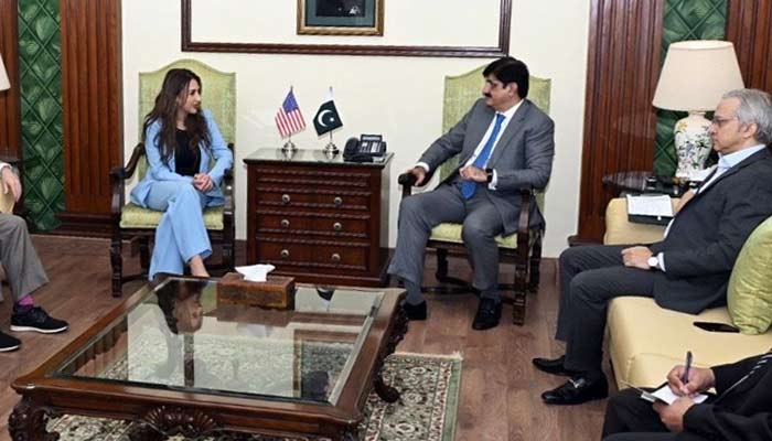 US envoy reinforces economic, security ties during Karachi visit